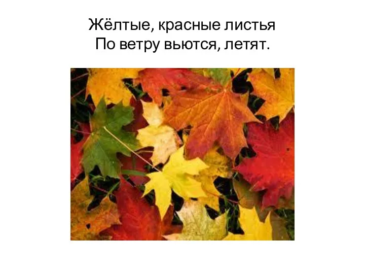 Жёлтые, красные листья По ветру вьются, летят.