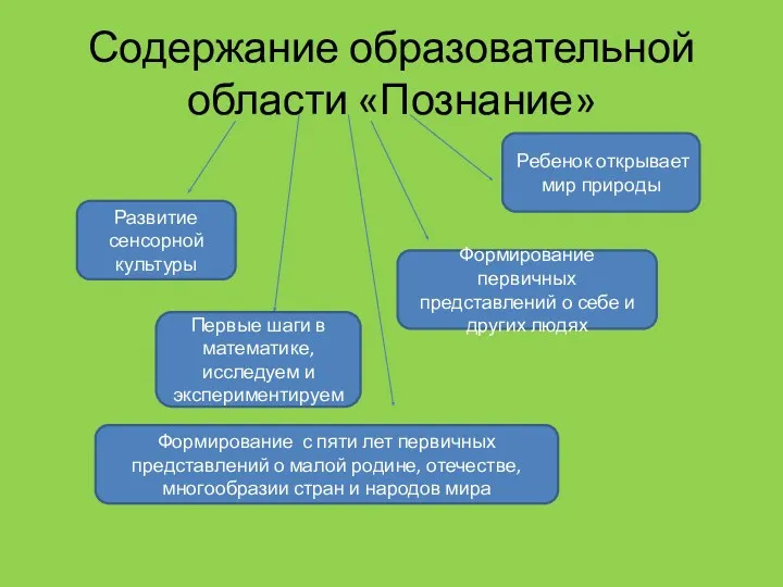 Содержание образовательной области «Познание» Развитие сенсорной культуры Формирование первичных представлений