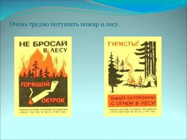 Очень трудно потушить пожар в лесу.