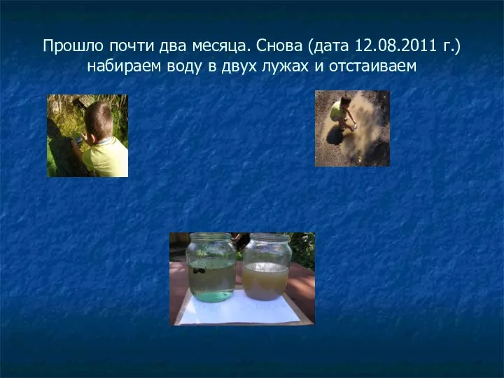 Прошло почти два месяца. Снова (дата 12.08.2011 г.) набираем воду в двух лужах и отстаиваем