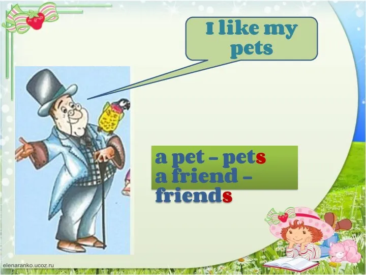 a pet – pets a friend - friends I like my pets