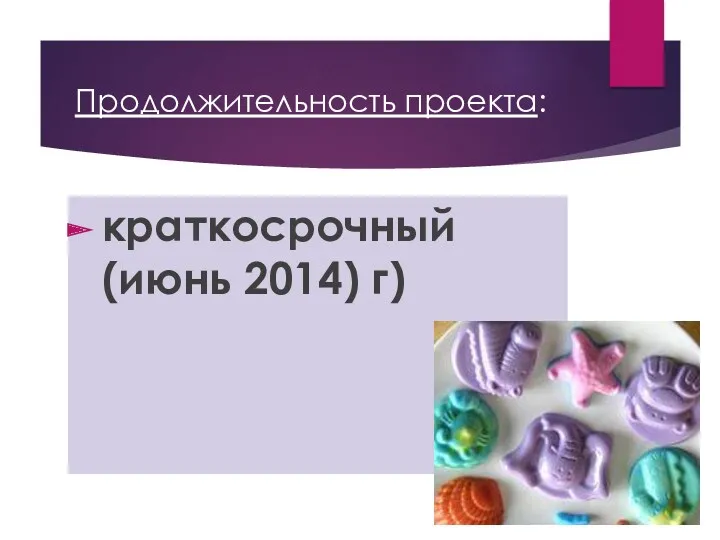 Продолжительность проекта: краткосрочный (июнь 2014) г)