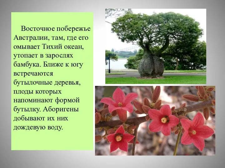 Восточное побережье Австралии, там, где его омывает Тихий океан, утопает