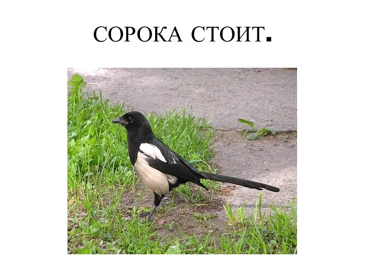 СОРОКА СТОИТ.