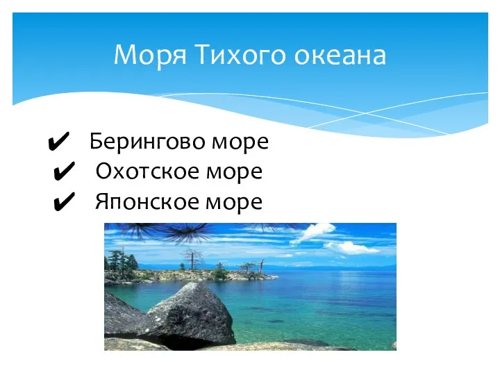 Моря Тихого океана Берингово море Охотское море Японское море