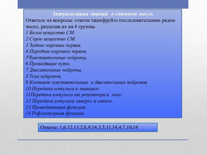 Актуализация знаний о спинном мозге. Ответьте на вопросы; ответы зашифруйте