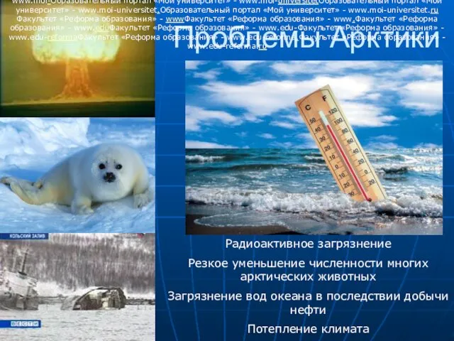 Проблемы Арктики Радиоактивное загрязнение Резкое уменьшение численности многих арктических животных