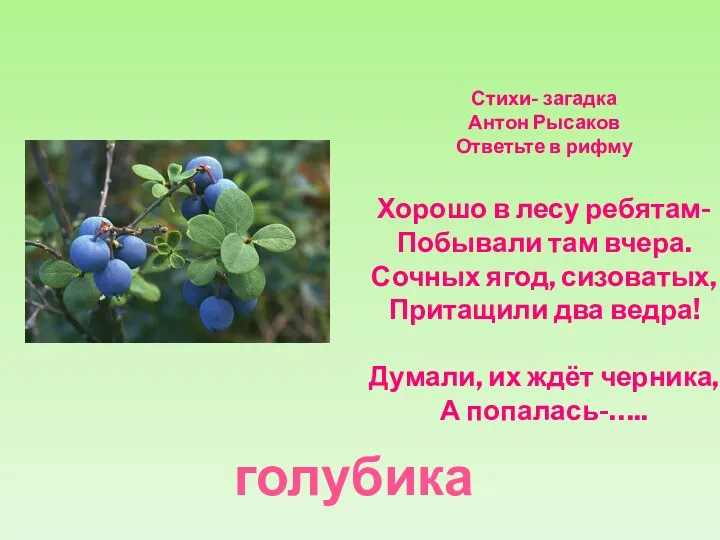 Стихи- загадка Антон Рысаков Ответьте в рифму Хорошо в лесу