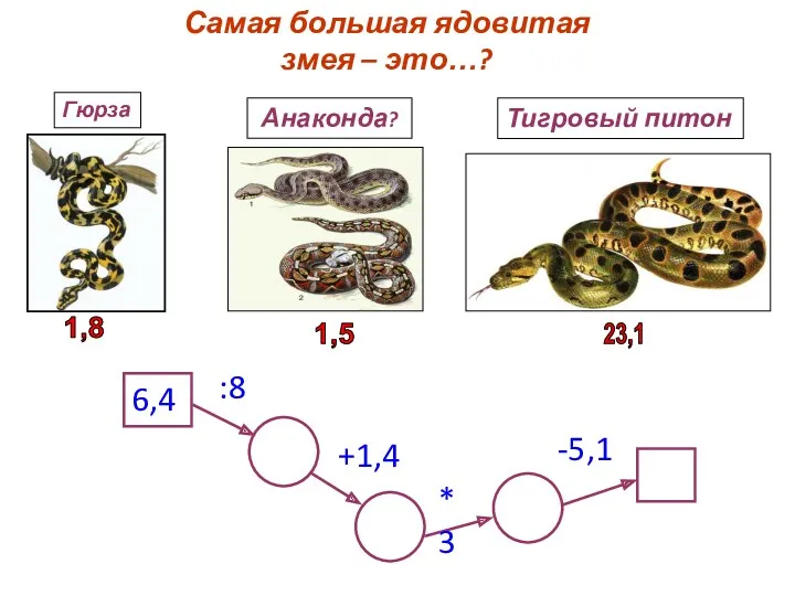 Самая большая ядовитая змея – это…? 6,4 :8 +1,4 *3 -5,1 Анаконда? 1,5