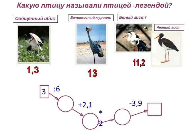 Какую птицу называли птицей -легендой? 3 :6 +2,1 *2 -3,9 Священный ибис Венценосный