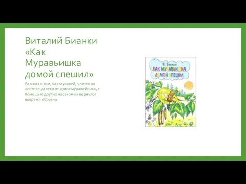 Виталий Бианки «Как Муравьишка домой спешил» Рассказ о том, как муравей, улетев на