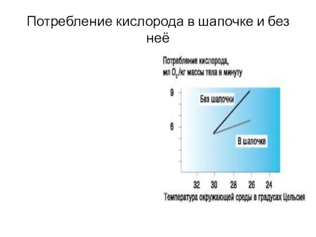 Потребление кислорода в шапочке и без неё