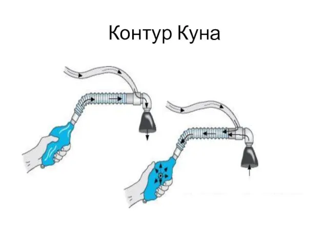 Контур Куна