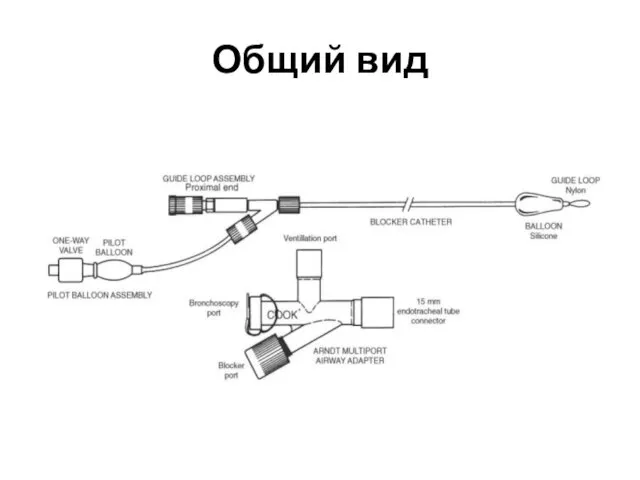 Общий вид