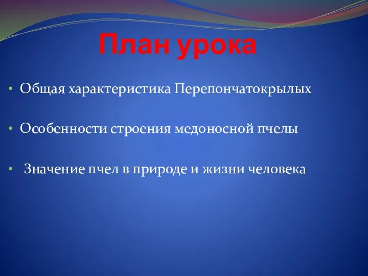 План урока Общая характеристика Перепончатокрылых Особенности строения медоносной пчелы Значение пчел в природе и жизни человека