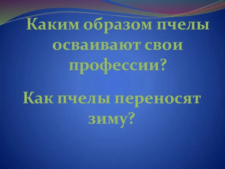 Каким образом пчелы осваивают свои профессии? Как пчелы переносят зиму?