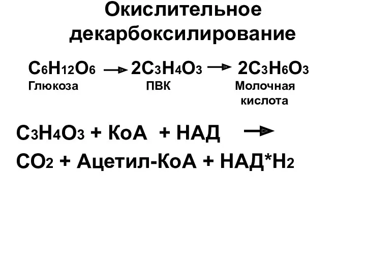 Окислительное декарбоксилирование С3Н4О3 + КоА + НАД СО2 + Ацетил-КоА