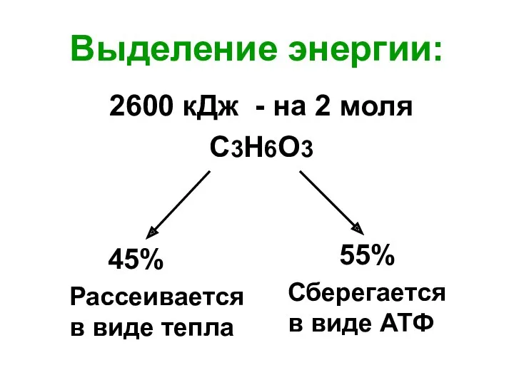 Выделение энергии: 2600 кДж - на 2 моля С3Н6О3 45%