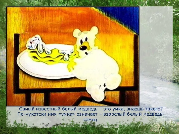 Самый известный белый медведь – это умка, знаешь такого? По-чукотски имя «умка» означает
