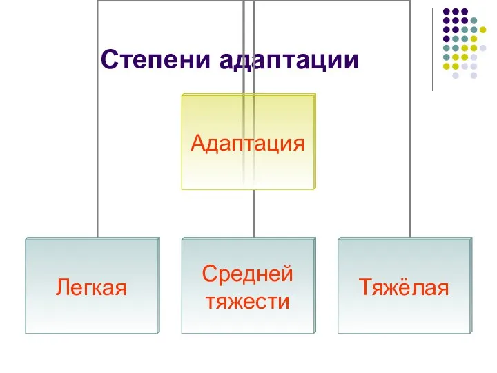 Степени адаптации