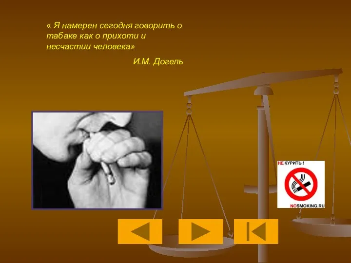 « Я намерен сегодня говорить о табаке как о прихоти и несчастии человека» И.М. Догель