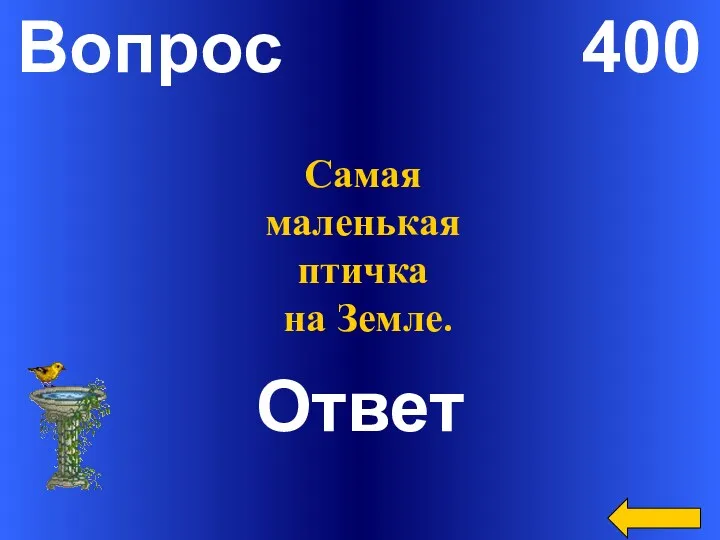 Вопрос 400 Ответ Самая маленькая птичка на Земле.