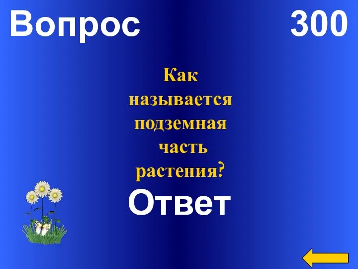 Вопрос 300 Ответ Как называется подземная часть растения?