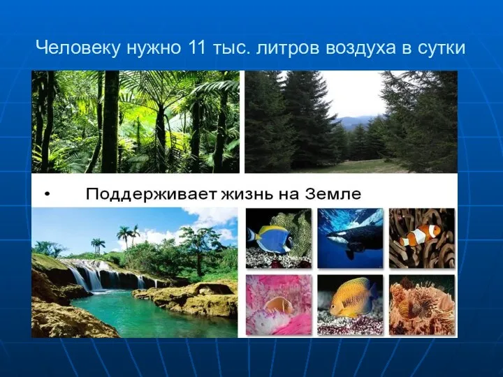 Человеку нужно 11 тыс. литров воздуха в сутки