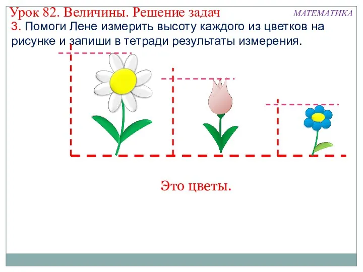 3. Помоги Лене измерить высоту каждого из цветков на рисунке