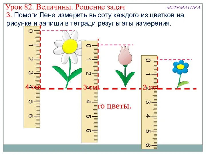 Это цветы. 3. Помоги Лене измерить высоту каждого из цветков