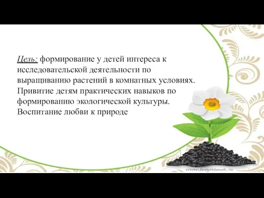 Цель: формирование у детей интереса к исследовательской деятельности по выращиванию