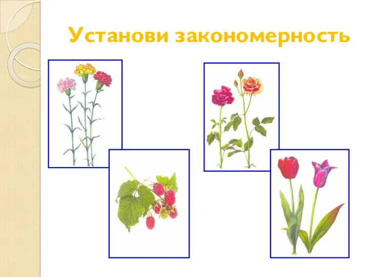 Установи закономерность