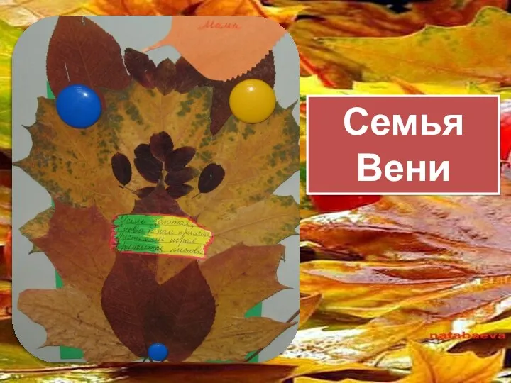 Семья Вени