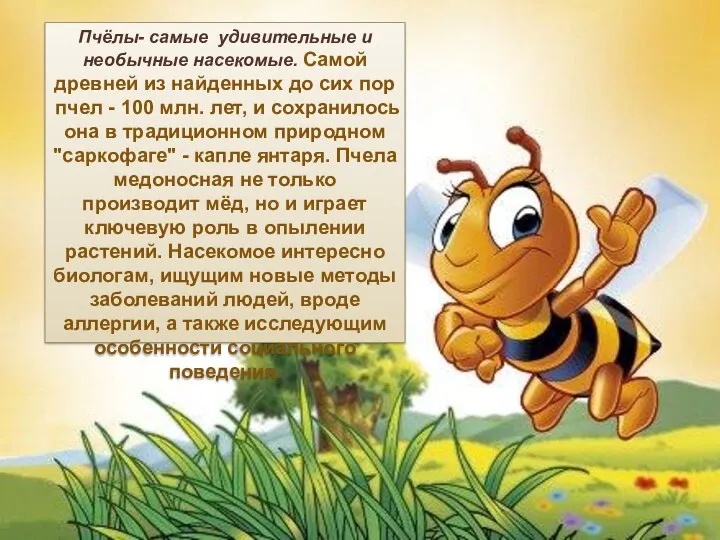 Пчёлы- самые удивительные и необычные насекомые. Самой древней из найденных