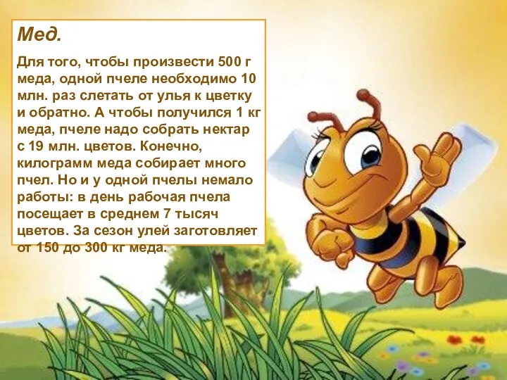 Мед. Для того, чтобы произвести 500 г меда, одной пчеле