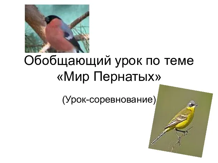 Урок-соревнование по теме Птицы