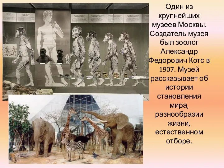 Один из крупнейших музеев Москвы. Создатель музея был зоолог Александр