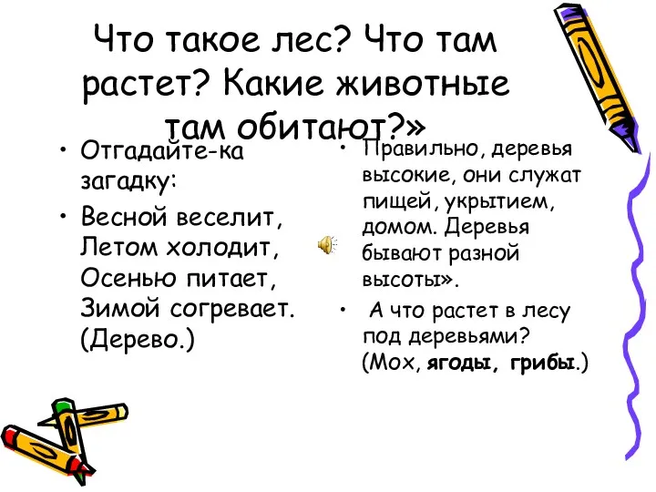 Что такое лес? Что там растет? Какие животные там обитают?»