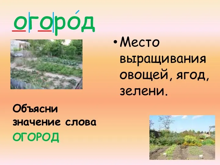 огород Объясни значение слова ОГОРОД Место выращивания овощей, ягод, зелени.
