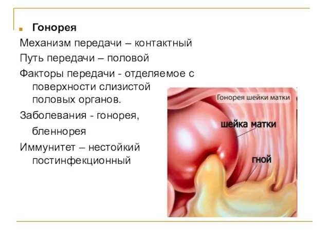 Гонорея Механизм передачи – контактный Путь передачи – половой Факторы