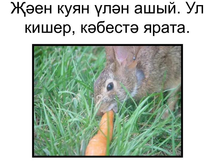 Җәен куян үлән ашый. Ул кишер, кәбестә ярата.