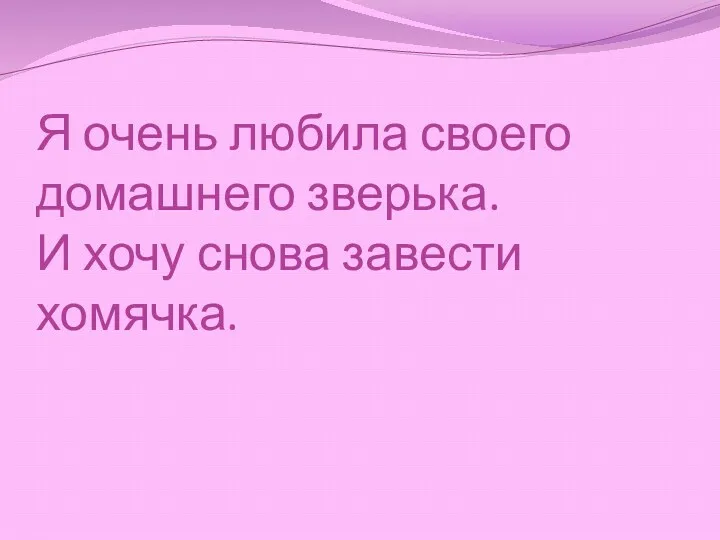 Я очень любила своего домашнего зверька. И хочу снова завести хомячка.