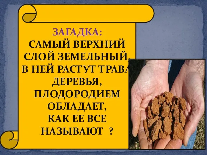 ЗАГАДКА: САМЫЙ ВЕРХНИЙ СЛОЙ ЗЕМЕЛЬНЫЙ, В НЕЙ РАСТУТ ТРАВА, ДЕРЕВЬЯ, ПЛОДОРОДИЕМ ОБЛАДАЕТ, КАК