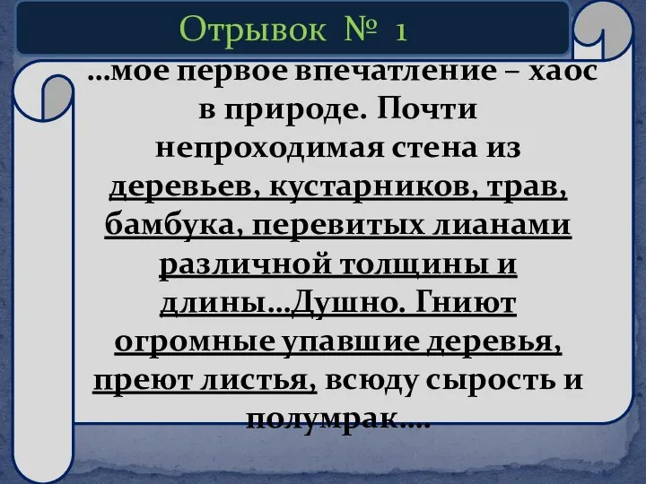 …мое первое впечатление – хаос в природе. Почти непроходимая стена из деревьев, кустарников,