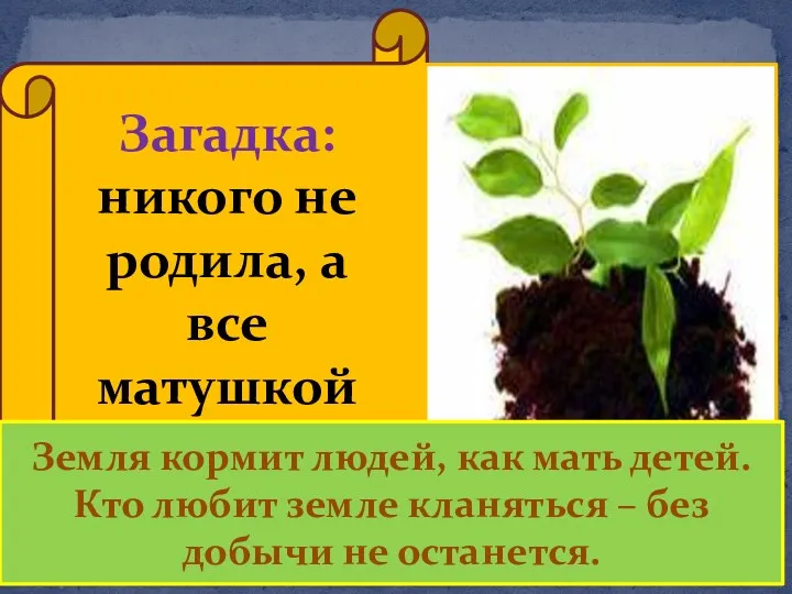 Загадка: никого не родила, а все матушкой зовут Земля кормит людей, как мать