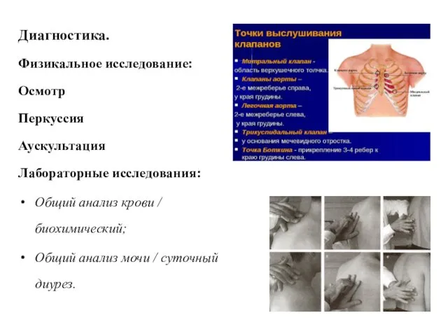 Диагностика. Физикальное исследование: Осмотр Перкуссия Аускультация Лабораторные исследования: Общий анализ