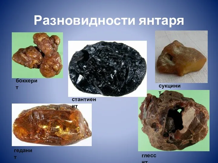 Разновидности янтаря боккерит стантиенит сукцинит геданит глессит