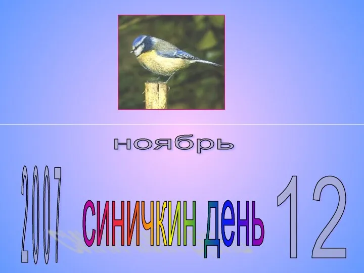 2 0 0 7 ноябрь 12 синичкин день