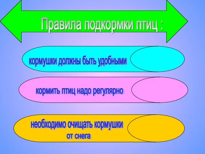 кормушки должны быть удобными необходимо очищать кормушки от снега Правила