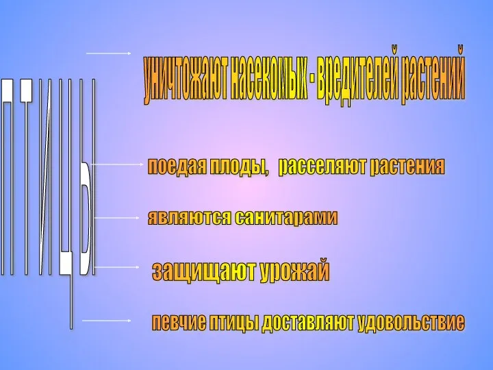 П Т И Ц Ы уничтожают насекомых - вредителей растений